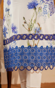 Asifa & Nabeel Meraki Vintage Embroidered Lawn Unstitched 3Pc Suit MVL25-06 Jaamun
