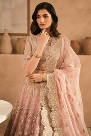 Ayzel Panache Embroidered Net Unstitched 3Pc Suit ALF-24-V2-01 JELENA