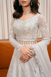 Saira Rizwan Festive Unstitched Embroidered Net 3Pc Suit D-01 LIARA