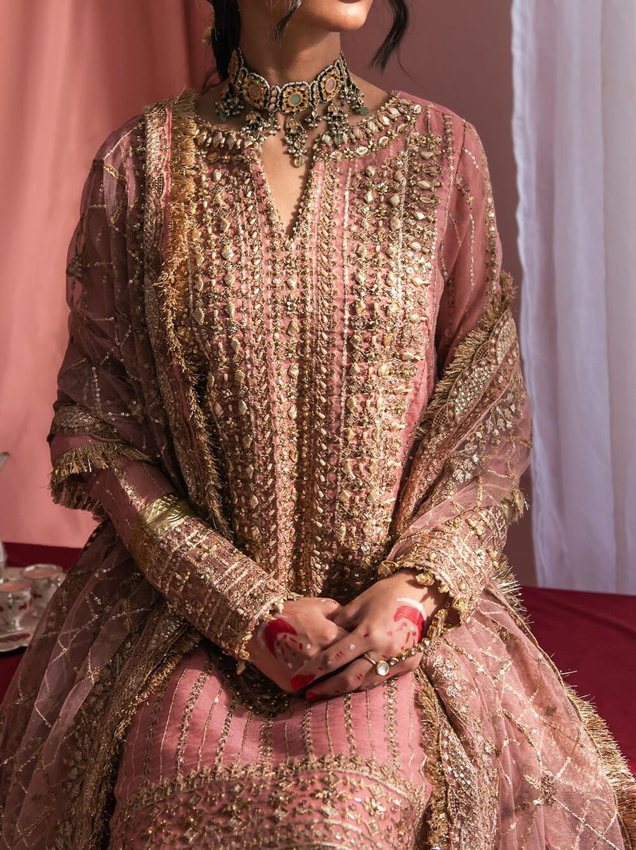 Aik Atelier Wedding Festive Embroidered Net 3Pc Suit Look-02