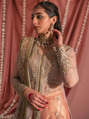 Aik Atelier Wedding Festive Embroidered Net 3Pc Suit Look-07