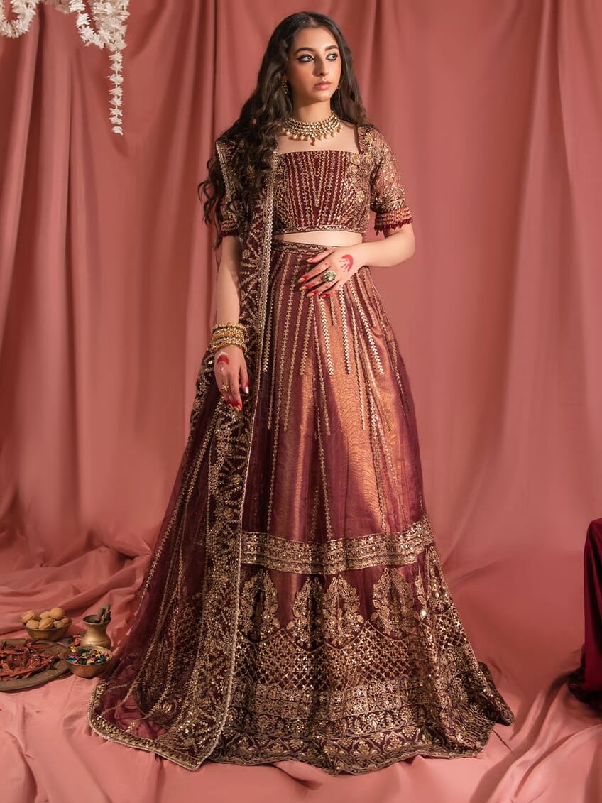 Aik Atelier Wedding Festive Embroidered Net 3Pc Suit Look-08