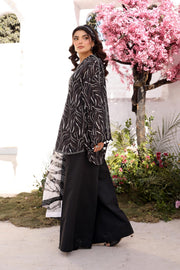 Maria.B M.Basics Embroidered Lawn Unstitched 3Pc Suit MB-CUS25-704B