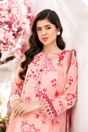 Maria.B M.Basics Embroidered Lawn Unstitched 3Pc Suit MB-CUS25-709A