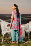 Maria.B M.Basics Embroidered Arabic Lawn Unstitched 3Pc Suit D-10A
