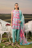 Maria.B M.Basics Embroidered Arabic Lawn Unstitched 3Pc Suit D-10A