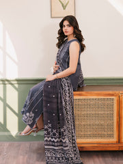 CELTS Mayal Premium Embroidered Dhanak Unstitched 3Pc Suit D-03