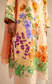 Asifa & Nabeel Meraki Embroidered Lawn Unstitched 3Pc Suit MSSL-11 Marigold Muse