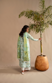 Asifa & Nabeel Meraki Embroidered Lawn Unstitched 3Pc Suit MSSL-12 Mint Mosaic