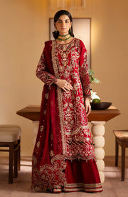 traditional red dress with gold and silver embroidery