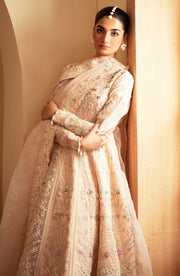 new dress for women