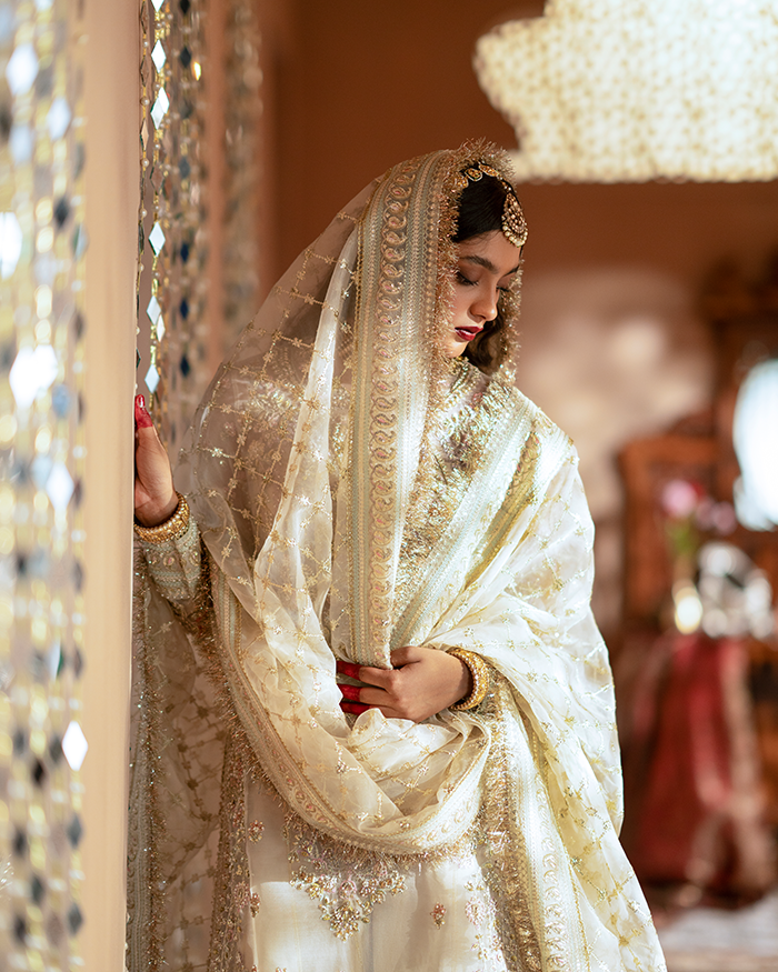 Zevk Mughal Raniya Unstitched Embroidered Organza Dress - Ruhaani Begum