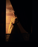 Zevk Mughal Raniya Unstitched Embroidered Organza Dress - Bano Rani