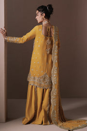 Zarposh Jahanara Festive Embroidered Chiffon Unstitched 3Pc Suit - Dhanak