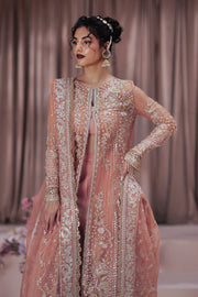 Zarposh Jahanara Festive Embroidered Organza Unstitched 3Pc Suit - Barkha