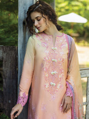 Mushq Solace Embroidered Chikankari Lawn Unstitched 3Pc Suit MSL-2504 Risate