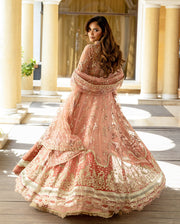 Mushq Darlings Embroidered Net Unstitched 3Pc Suit D-05 Naina