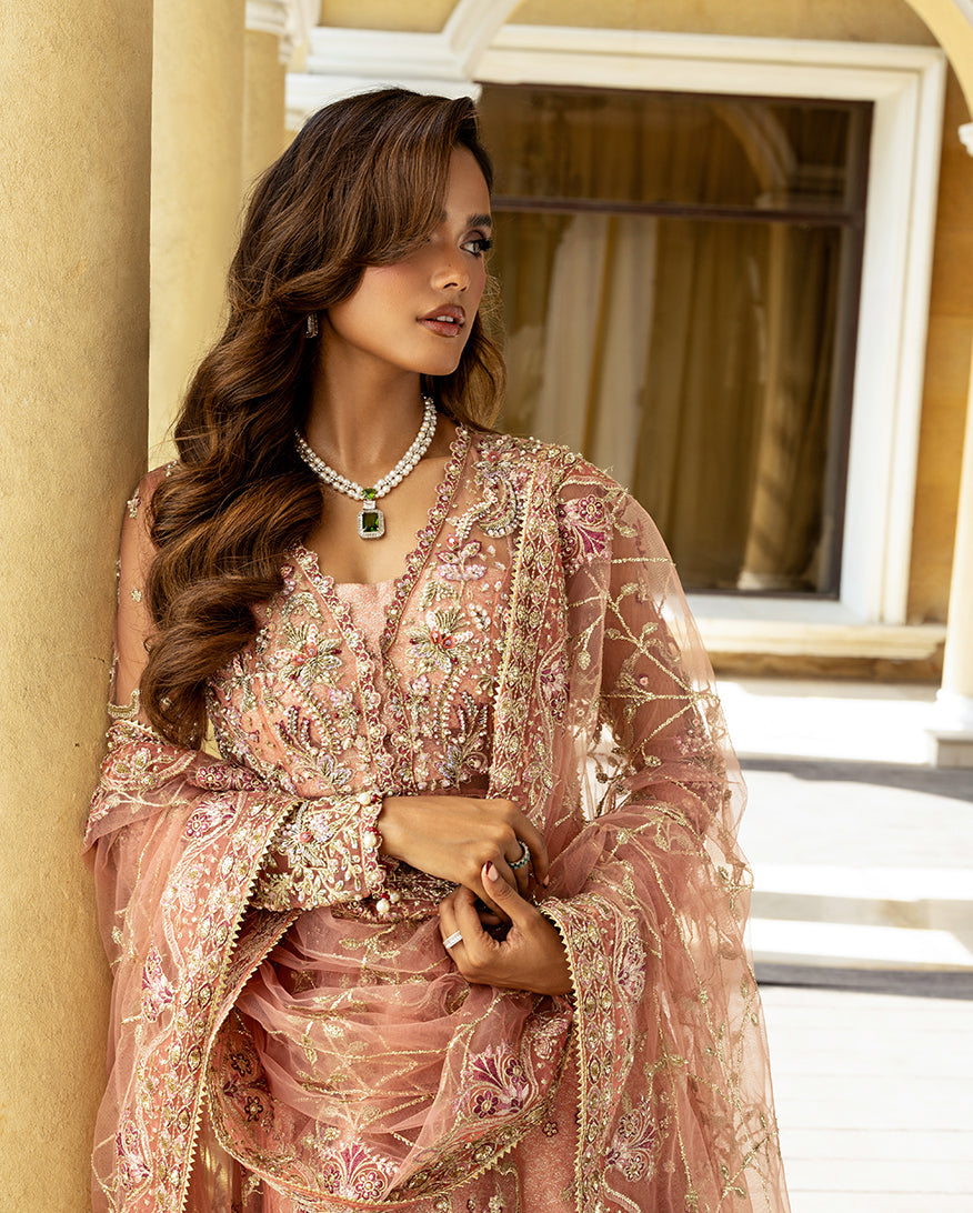 Mushq Darlings Embroidered Net Unstitched 3Pc Suit D-05 Naina
