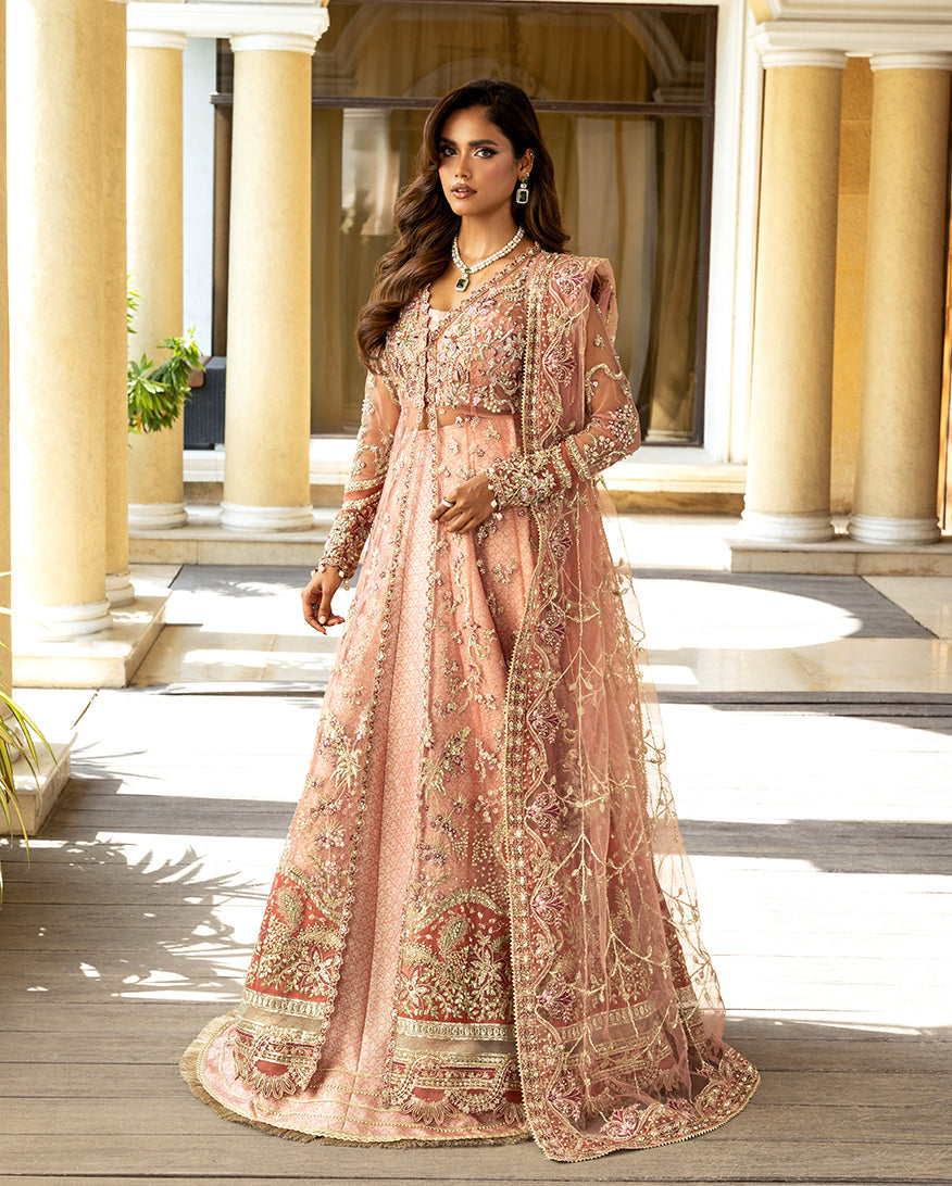 Mushq Darlings Embroidered Net Unstitched 3Pc Suit D-05 Naina