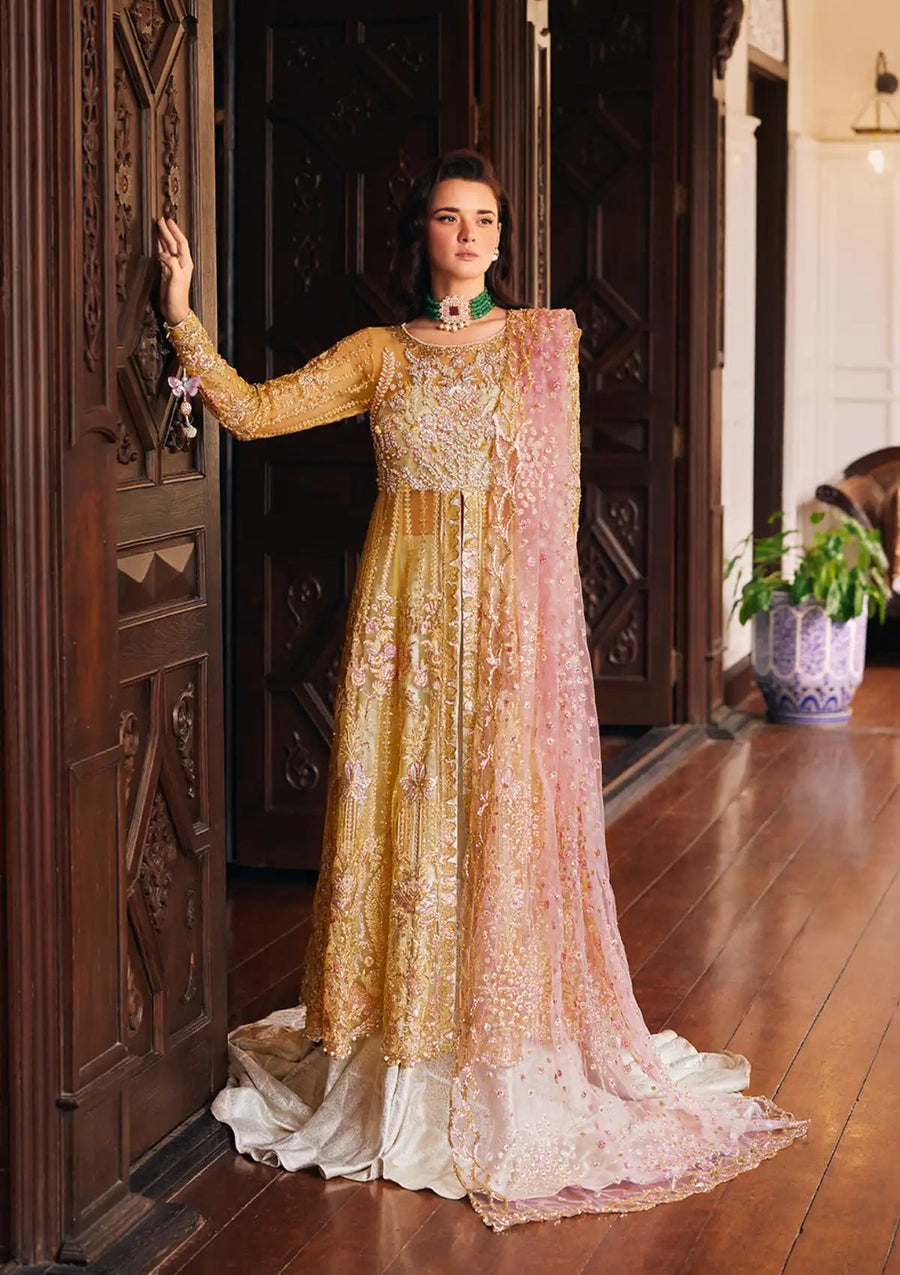 Mushq Stardust Embroidered Net Unstitched 3Pc Suit MN23-08 Sprinkle