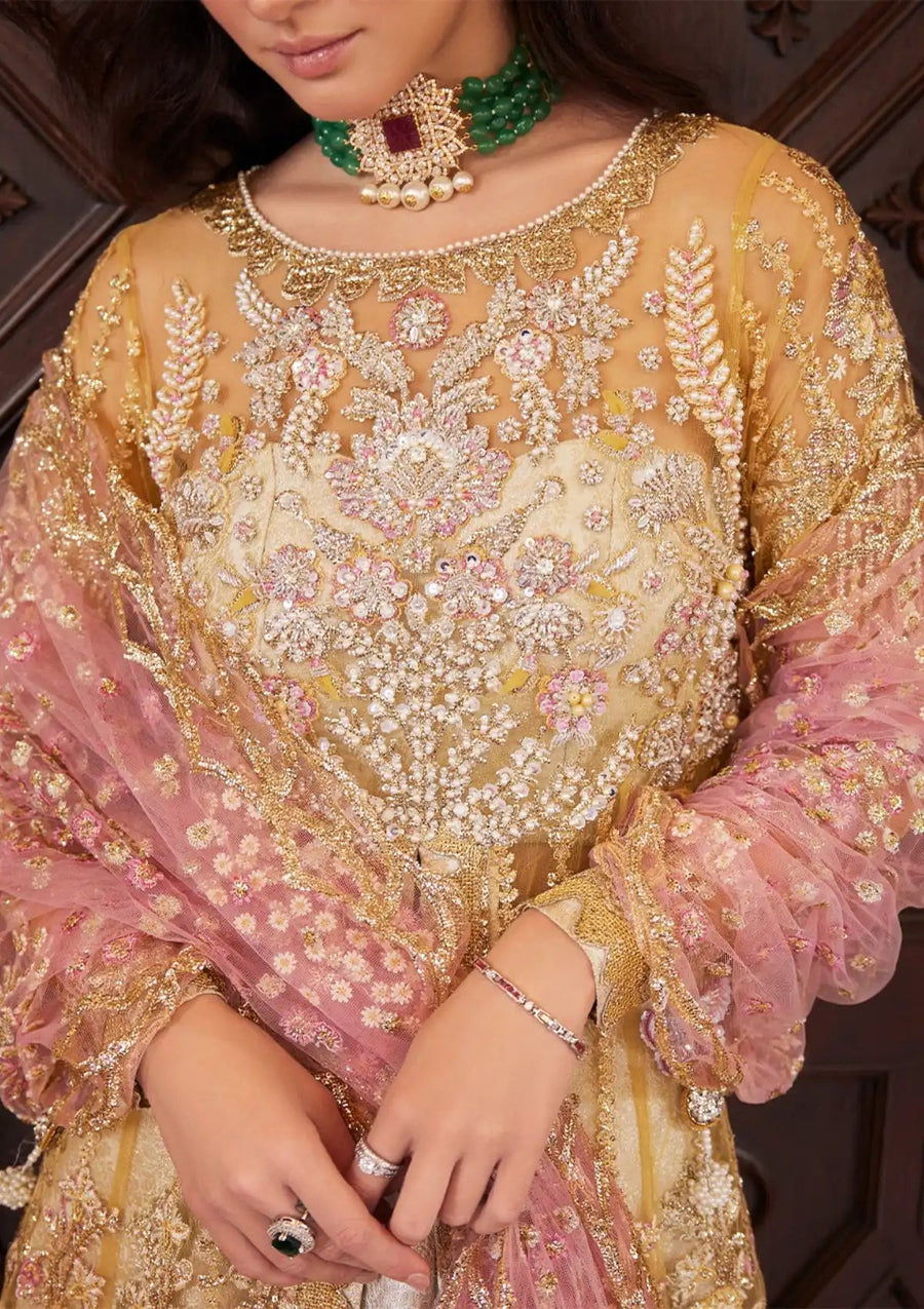 Mushq Stardust Embroidered Net Unstitched 3Pc Suit MN23-08 Sprinkle
