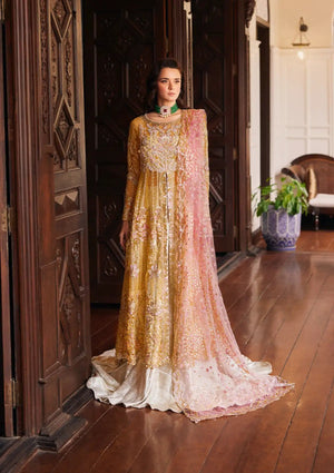 Mushq Stardust Embroidered Net Unstitched 3Pc Suit MN23-08 Sprinkle