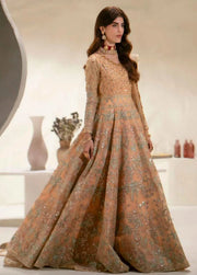 Maryum N Maria Mehr O Maah Unstitched Organza 3Pc Suit MW23-534 Nane