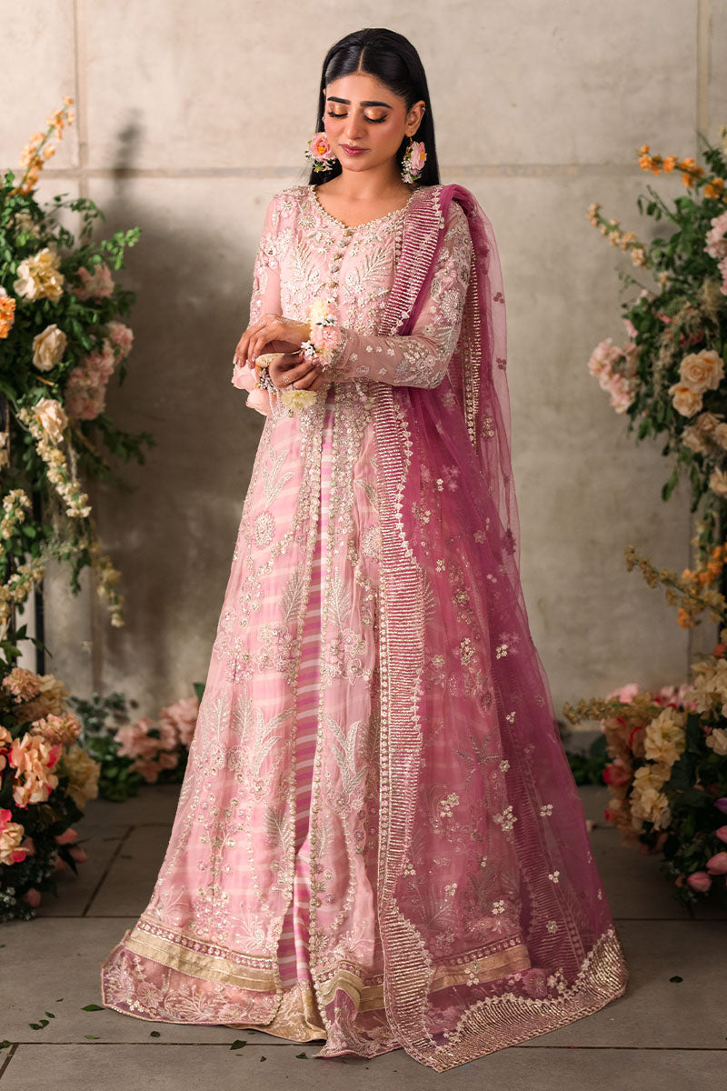 Mushq Mastani Evening Embroidered Chiffon Unstitched 3Pc Suit MCH-03 MAISHA