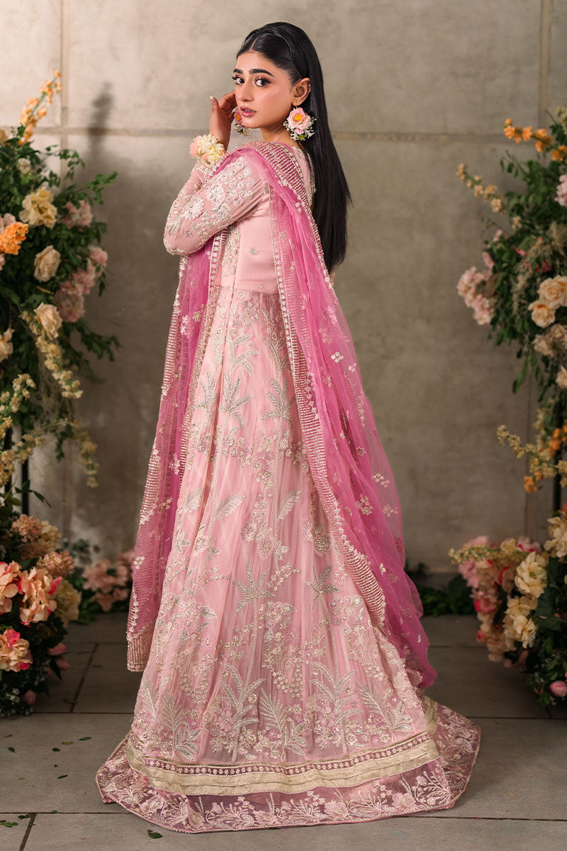 Mushq Mastani Evening Embroidered Chiffon Unstitched 3Pc Suit MCH-03 MAISHA
