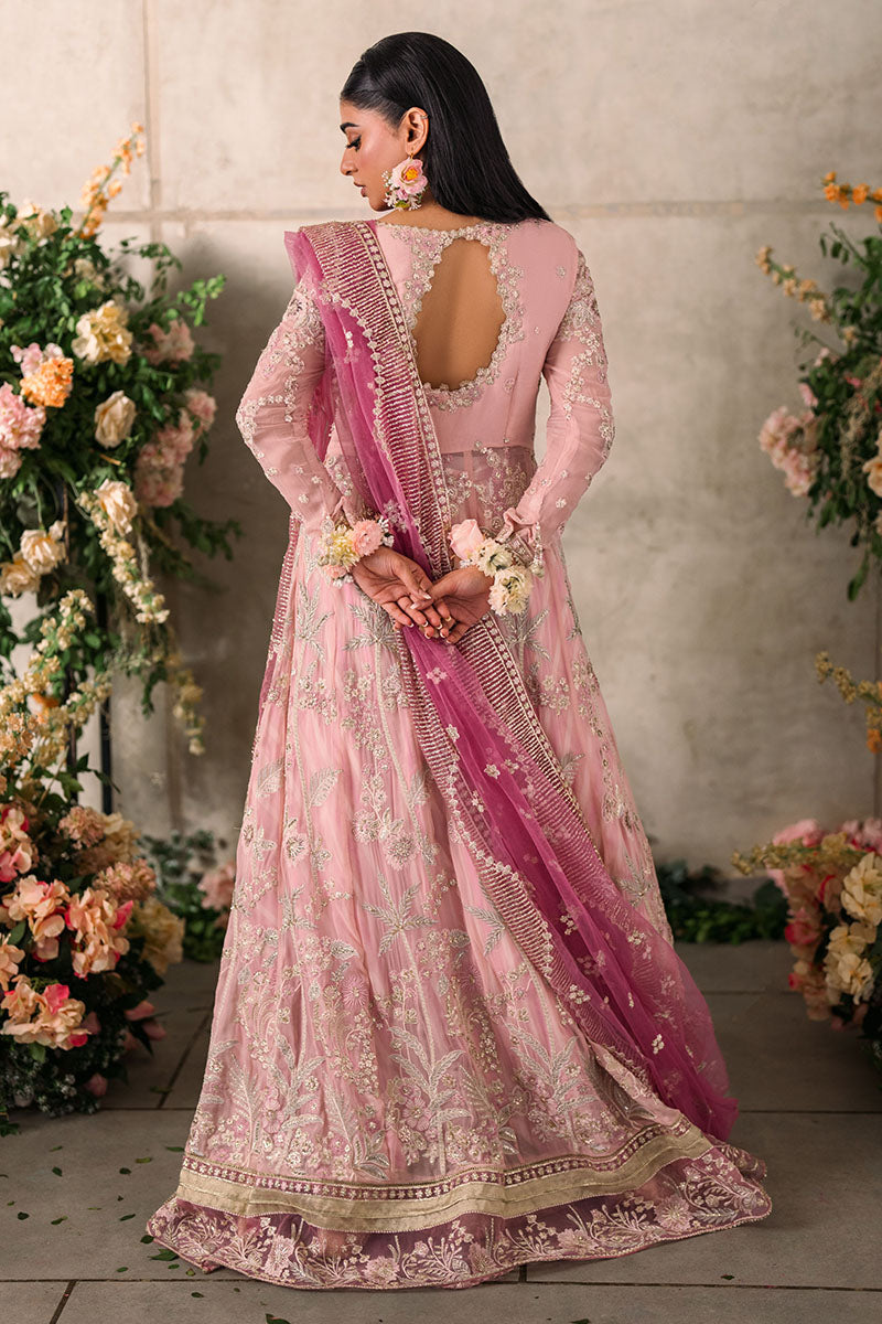 Mushq Mastani Evening Embroidered Chiffon Unstitched 3Pc Suit MCH-03 MAISHA