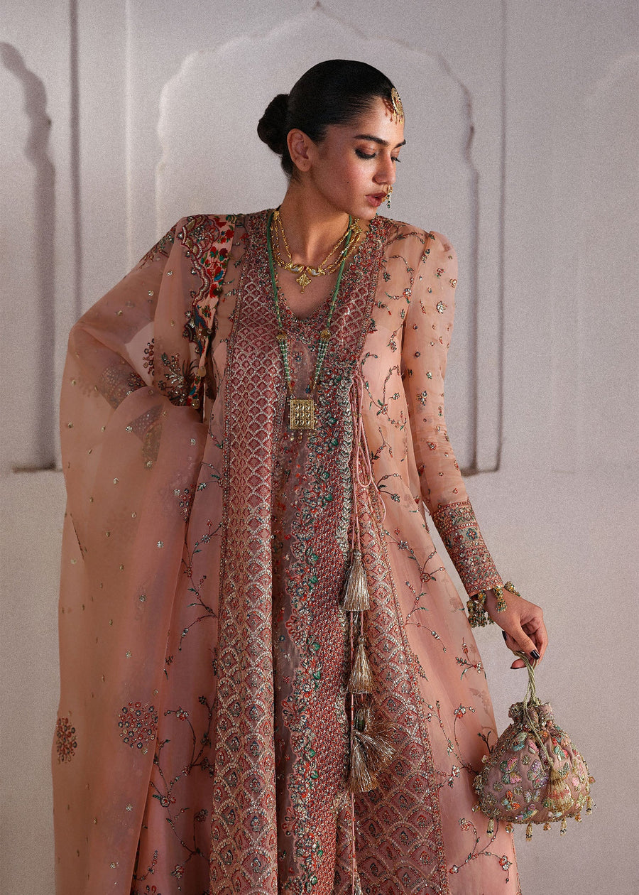 Hussain Rehar Festive Embroidered Organza Unstitched 3Pc Suit - Malka