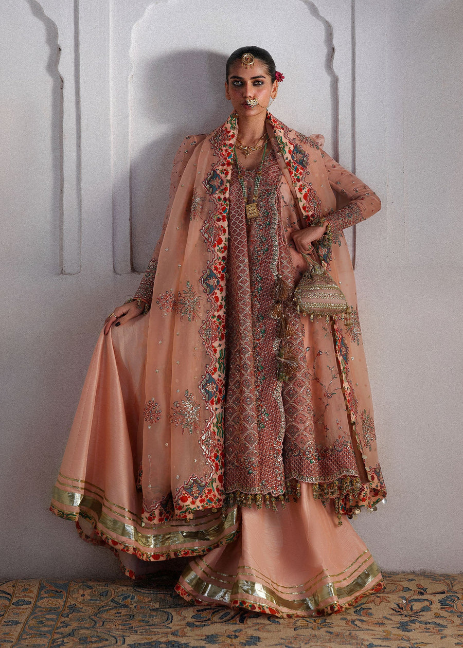 Hussain Rehar Festive Embroidered Organza Unstitched 3Pc Suit - Malka