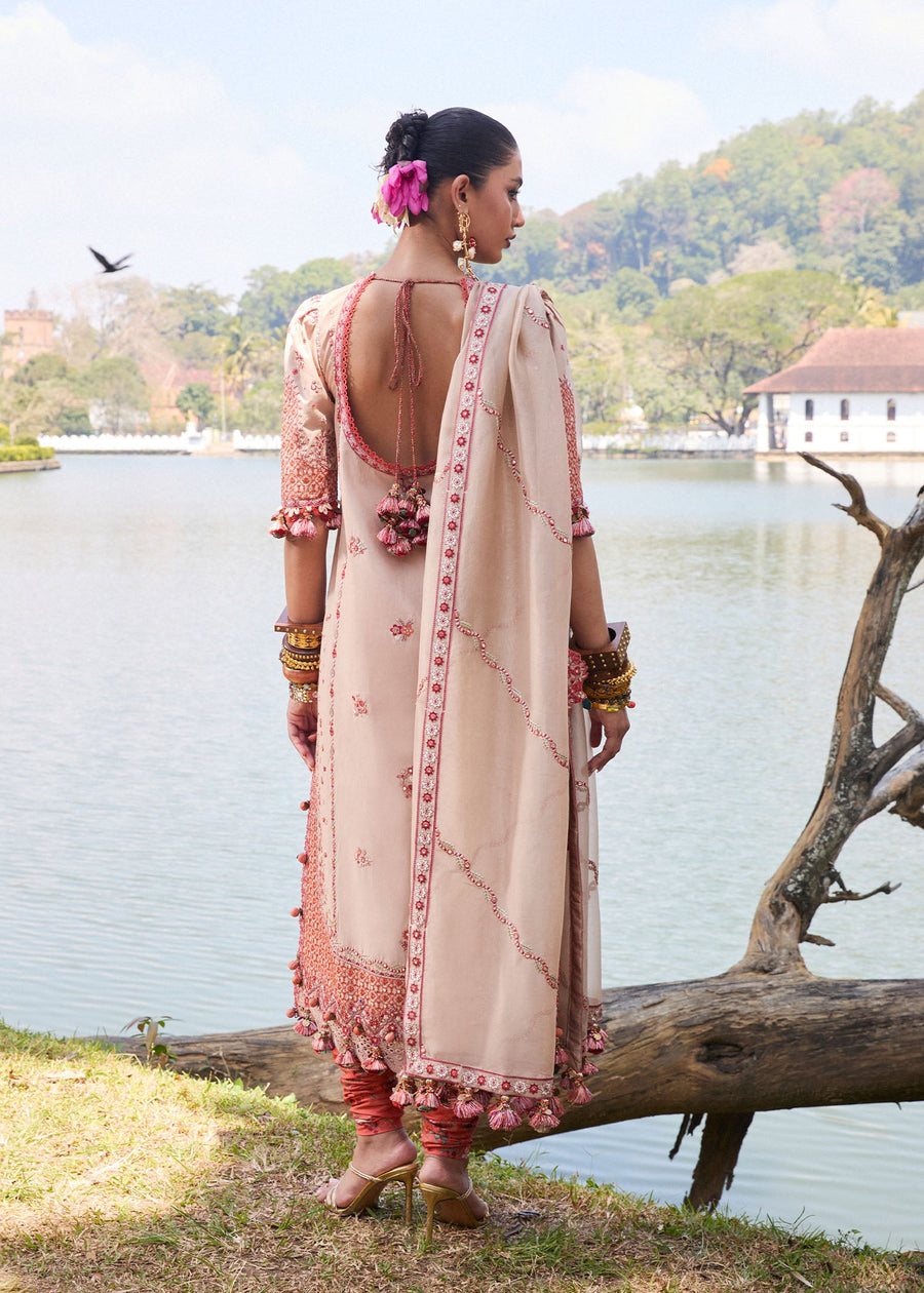 Hussain Rehar Luxury Lawn Unstitched Embroidered 3Pc Suit D-02 Mari