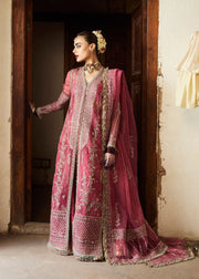 Hussain Rehar Festive Unstitched Embroidered Organza Dress - Marjani