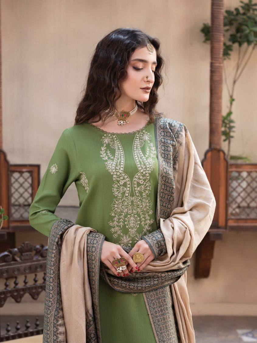 CELTS Nagar Vol-02 Premium Embroidered Dhanak Unstitched 3Pc Suit D-02
