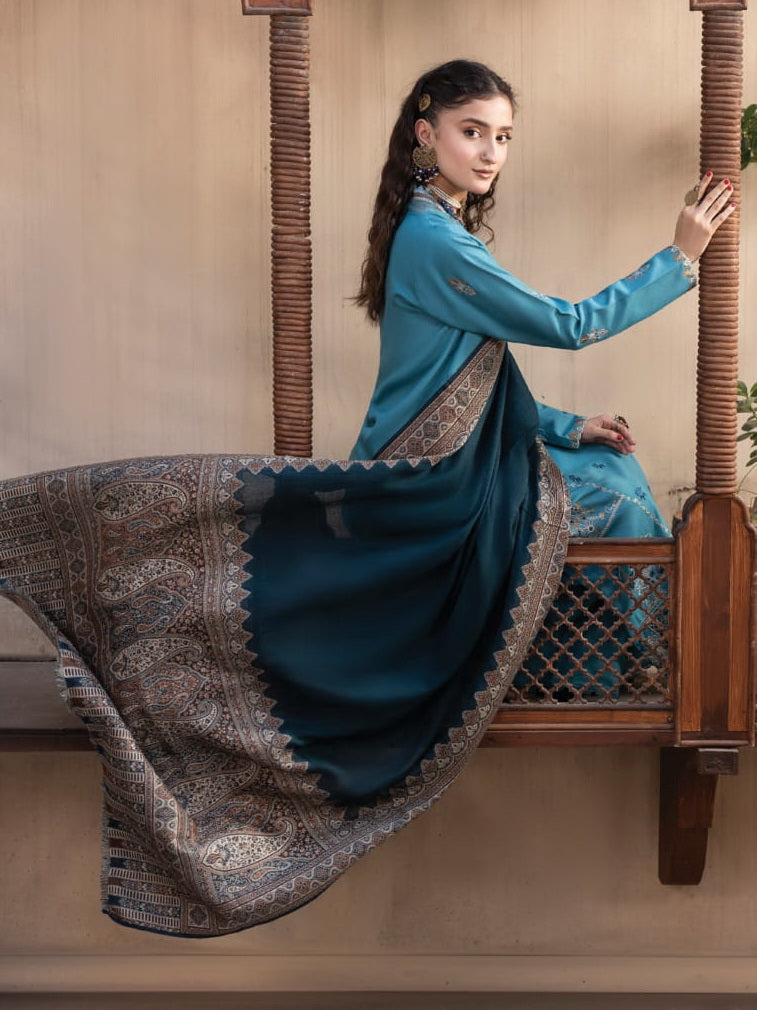 CELTS Nagar Vol-02 Premium Embroidered Dhanak Unstitched 3Pc Suit D-09