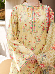 Faiza Faisal Signature Pret Dyed Printed Raw Silk 3Pc Suit - NEHAN