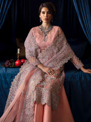 Nureh Elanora Embroidered Organza Unstitched 3Pc Suit NEL-51