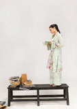 ELAF Premium In Transit Ready to Wear 2Pc Lawn Suit NFE-27 TERRA