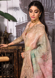Jahan Aara by Nayab NS-001 Dhanak-3