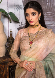 Jahan Aara by Nayab NS-001 Dhanak-4