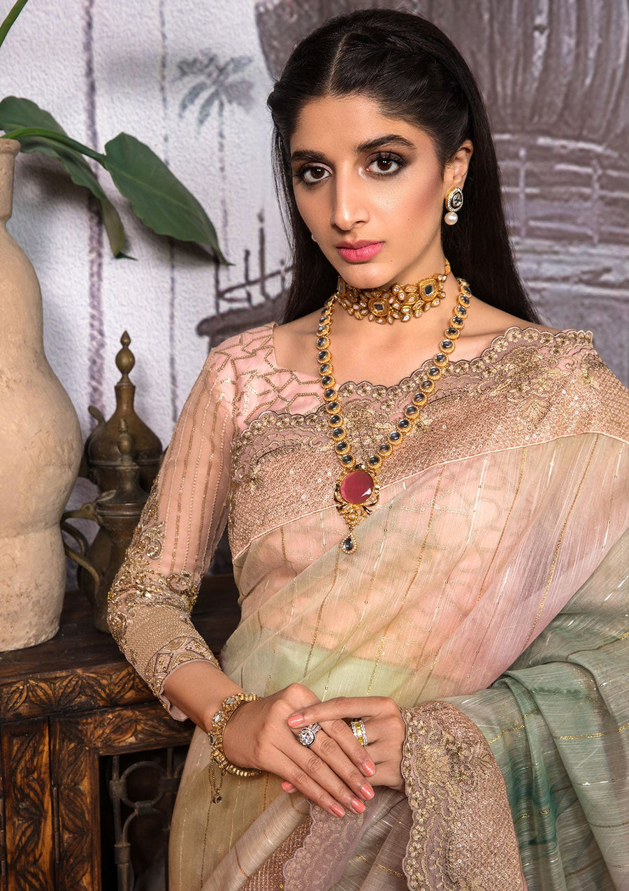 Jahan Aara by Nayab NS-001 Dhanak-4