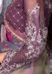 Jahan Aara by Nayab NS-006 ASHNA-5