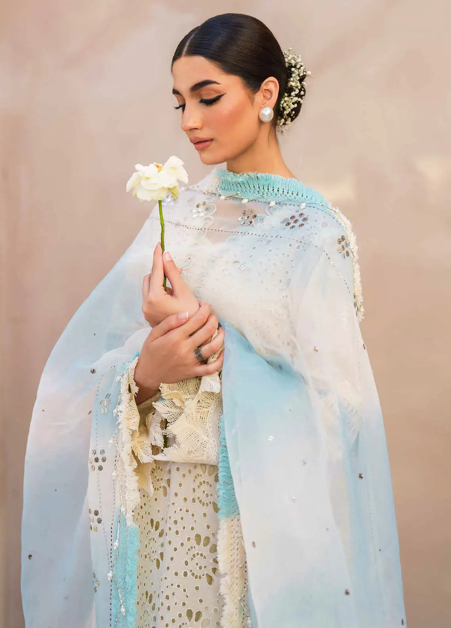 Nureh Bazaar Dhoop Kinaray Chikankari Lawn Unstitched 3Pc Suit NS-140
