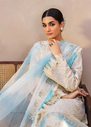 Nureh Bazaar Dhoop Kinaray Chikankari Lawn Unstitched 3Pc Suit NS-140
