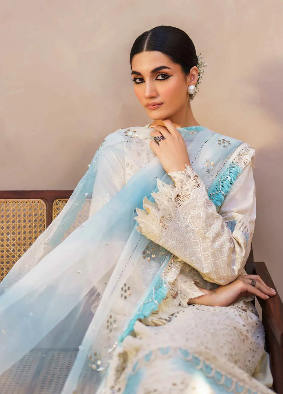 Nureh Bazaar Dhoop Kinaray Chikankari Lawn Unstitched 3Pc Suit NS-140