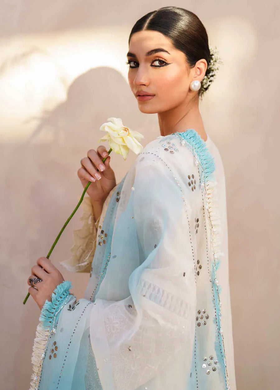 Nureh Bazaar Dhoop Kinaray Chikankari Lawn Unstitched 3Pc Suit NS-140