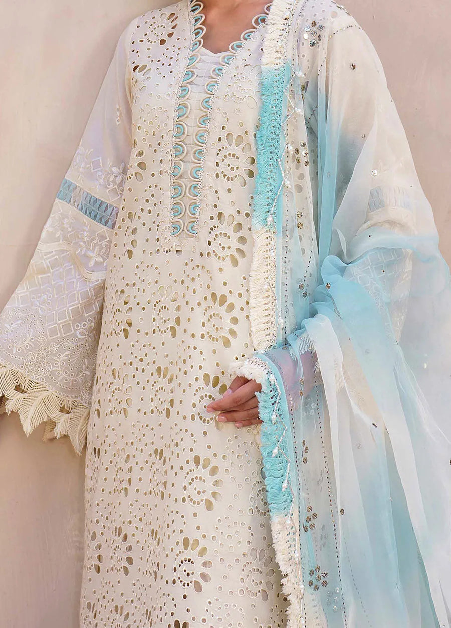 Nureh Bazaar Dhoop Kinaray Chikankari Lawn Unstitched 3Pc Suit NS-140