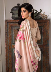 Jahan Aara by Nayab NS-007 TIYA-3