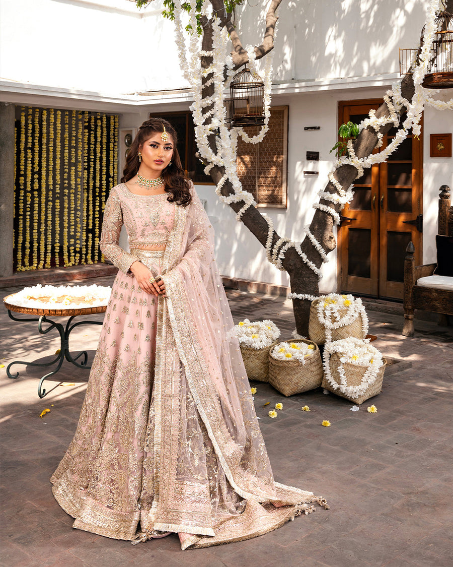 Nira by Faiza Saqlain Embroidered Net Unstitched 3Pc Suit - NAIZA